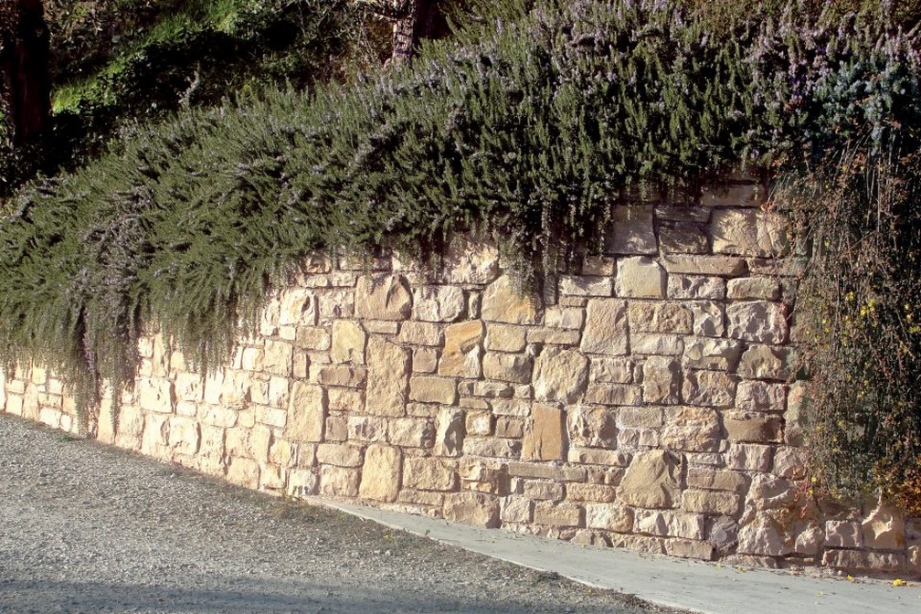 bergamo_beigecredaro_conlavanda_0083-960x640